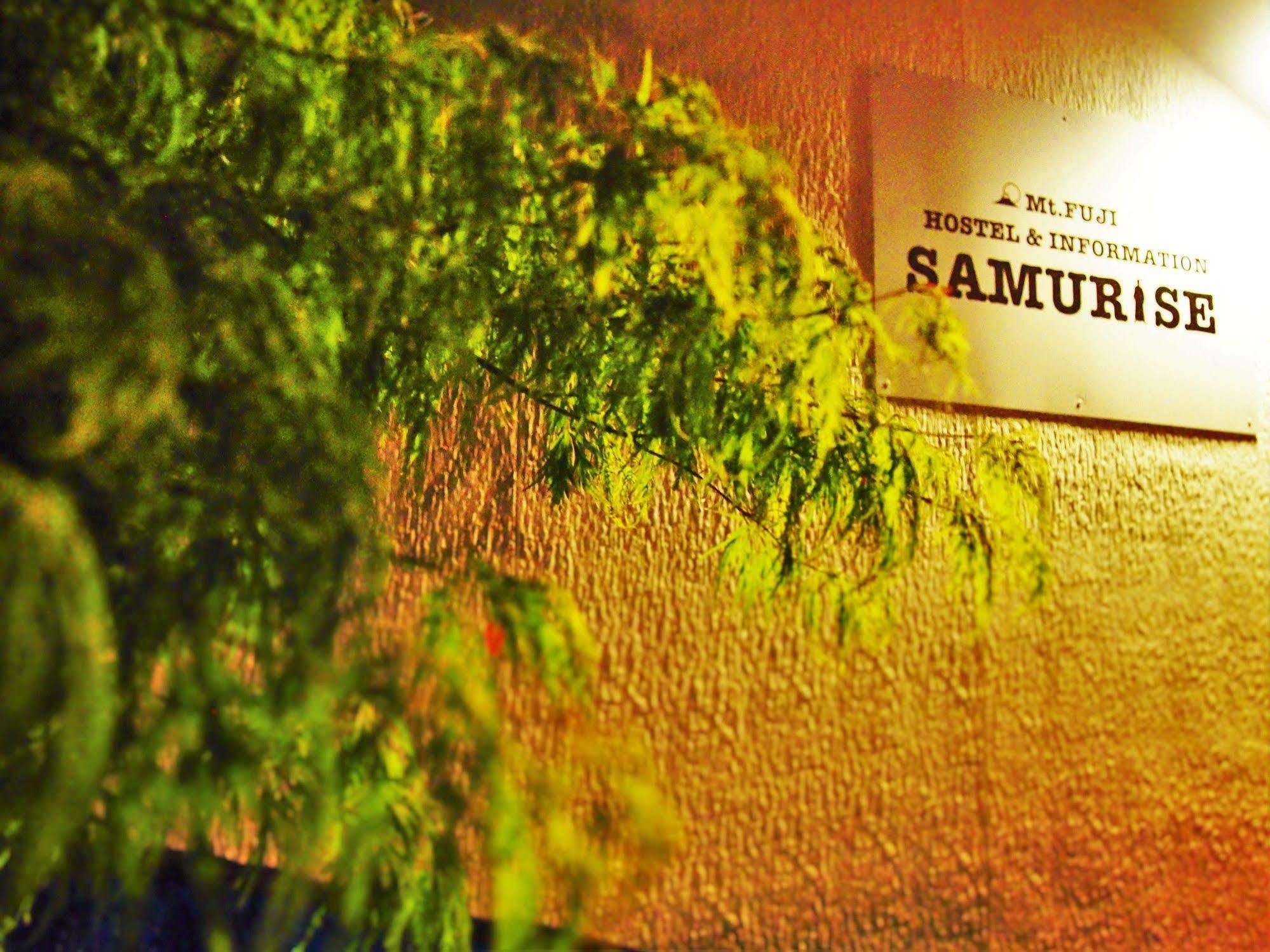 Hostel Samurise Mt Fuji Fujikawaguchiko Eksteriør bilde